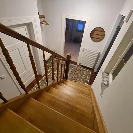 Birute 베른카슈텔쿠에스